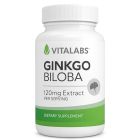 Ginkgo Biloba - 60 cápsulas de 120mg