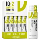 Pre Workout Shot 80ml – Poderoso Shot Pré-Entrenamiento – 10 + 2 Grátis