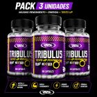 Pack 3× Tribulus Testo UP 60 Cápsulas – 95% Saponinas – Real Pharm
