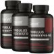 Tribulus Terrestris 90% - 3 x 60 caps x 1000mg (3 meses)