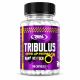 Tribulus Testo UP 60 Cápsulas – Extracto 95% Saponinas – Real Pharm