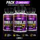 Pack 3 Tribulus Testo UP 60 Cápsulas – 95% Saponinas – Real Pharm